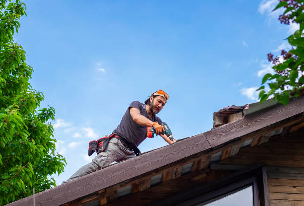 Best Metal Roofing Installation  in Basehor, KS
